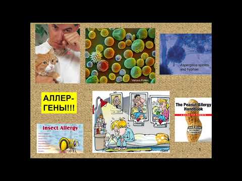 Дубынин В. А. - Физиология иммунитета - Аллергии (гиперчувствительность 1-4 типов)
