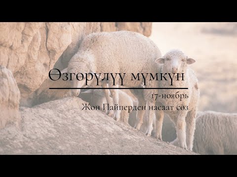 Video: Аргула эмне үчүн күнүмдүк рационуңузга кошулат?