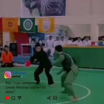 story wa persinas asad