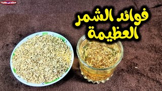 فوائد الشمر الصحية والغذائية  الشمر كمنشط للهضم ومقوي للمناعة