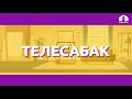 Математика 2-класс / 8 кошуу жадыбалы / ТЕЛЕСАБАК 29.10.20