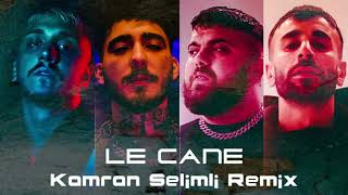 MUTİ - LE CANE feat. UZİ x CRİTİCAL x HEİJAN (Kamran Selimli Remix ) Resimi