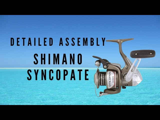 Fishing Reel SHIMANO Syncopate Detailed Assembly 2500FG 