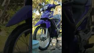 Cleaning My Not So Dirty Violet