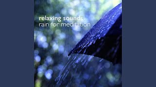 Shelter from the Downpour