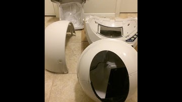 Litter Robot Open Air Cleanup and Maintenance