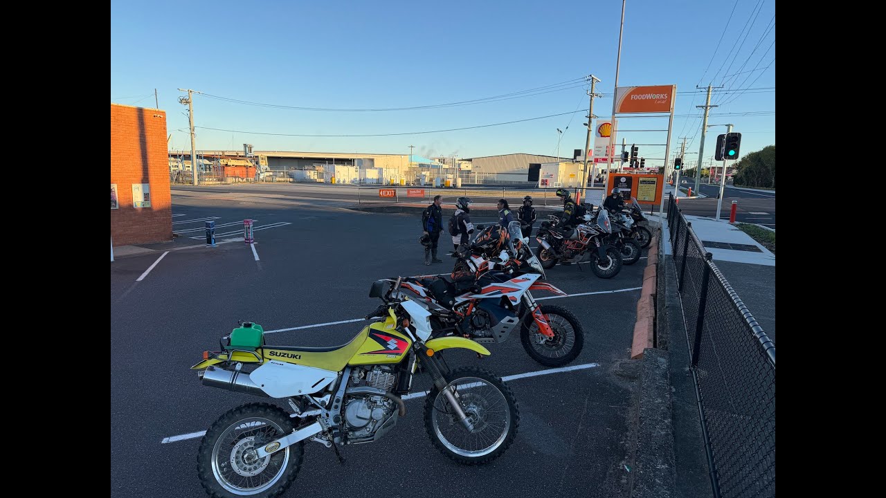Alexiou KTM 890 Adventure R Tasmania Sumac Forest Feb 2026 4K