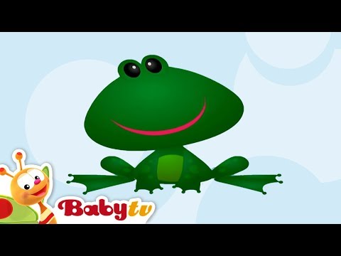 Frog - Animal Sounds and Names for Kids & Toddlers | BabyTV
