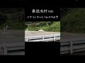 ぱぱぱぱぱんー
