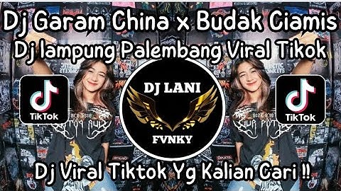 DJ GARAM CINA  FULL SONG || BUDAK CIAMIS | BELI BODREXIN | BERONDOL SAWIT VIRAL TIKTOK 2025
