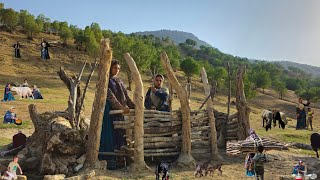 Nomadic Life: Nomadic Girls Survive in the Wild | Nomadic Life in Zagros✨🔥