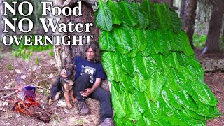 Skunk Cabbage Survival Shelter / No Food, No Water, No Shelter Survival Challenge / Solo Overnight