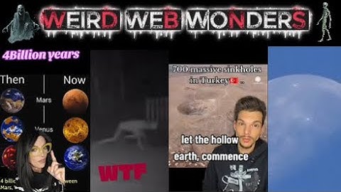 weird web wonders vol 73