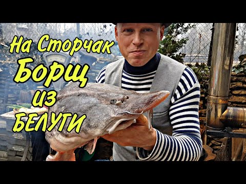 Суп на Всю Семью из Огромной Рыбьей ГОЛОВЫ! БОРЩ в КАЗАНЕ!