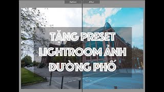 Tặng Preset Lightroom Ảnh Đường Phố Chất Lượng Tải Miễn Phí