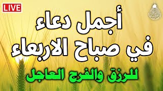 دعاء في صباح يوم الاربعاء المستجاب من شهر شعبان للرزق والشفاء العاجل وقضاء الحوائج باذن الله