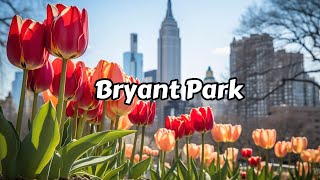 New York City Walking Tour 4k 2024