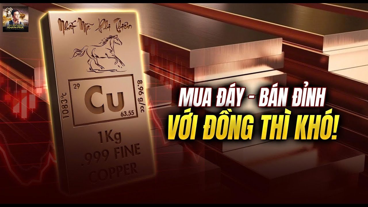 ĐỈNH CAO CỦA FOMO: NGƯỜI DÂN ĐỔ XÔ TÍCH TRỮ ĐỒNG CHỜ LÊN GIÁ!