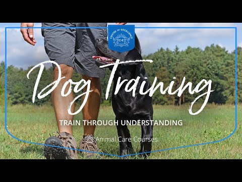 Animal Care Courses