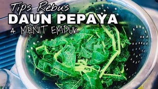 Resep : Cara Mengolah Daun Pepaya Jepang Di Masak Seperti Buntil Telur!!!