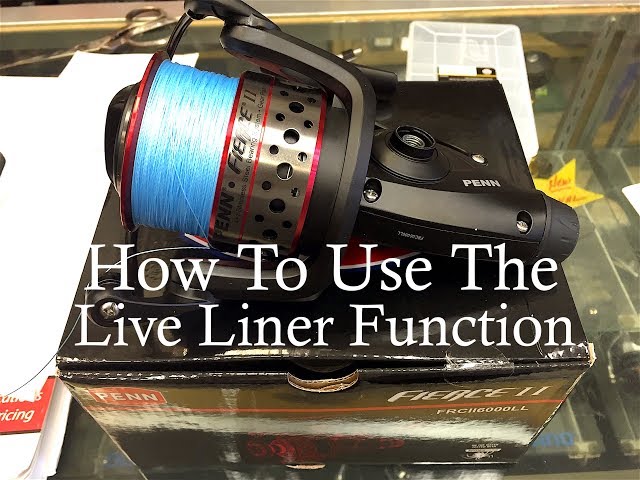 How To Use Penn Fierce Live Liner Reel For Shore Casting! 