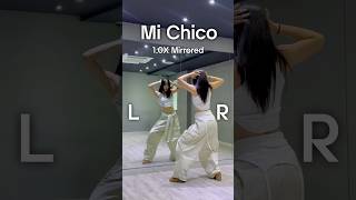 DJ Goja - Mi Chico Mirrored 거울모드 배우기 #michico #michicochallenge #dancechallengetutorial