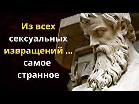 Мудрые слова Пифагора, которые стоит запомнить. Цитаты и афоризмы.