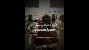 ﴿ ومن أراد الآخرة وسعى لها سعيها وهو مؤمن فأولئك ﴾ | الشيخ محمد اللحيدان  #سورة_الإسراء