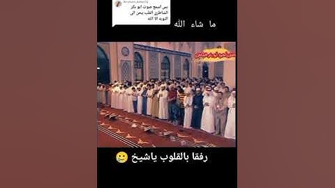 تلاوة خاشعة من سورة المائدة بصوت القارئ أبو بكر الشاطري | روعة الأداء وجمال الترتيل