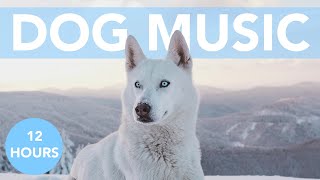 SOOTHING DOG MUSIC for Your Anxious Pup! Calming ASMR Tones!