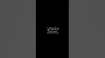ان الله وملائكته يصلون على النبي - #محمد_الغزالي #سورة_الاحزاب #الصلاة_على_النبي #قرآن #اكسبلور #غزة