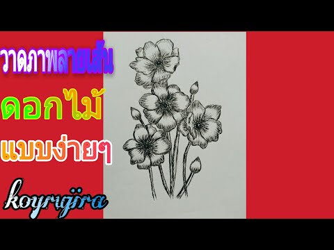 วาดภาพลายเส้น ดอกไม้สวยๆ(doodle art)แบบง่ายๆ|koyrujira