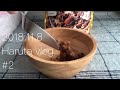 【Vlog】#2 子なし専業主婦の何気ない1日～夜勤の旦那っちを見送るまで～