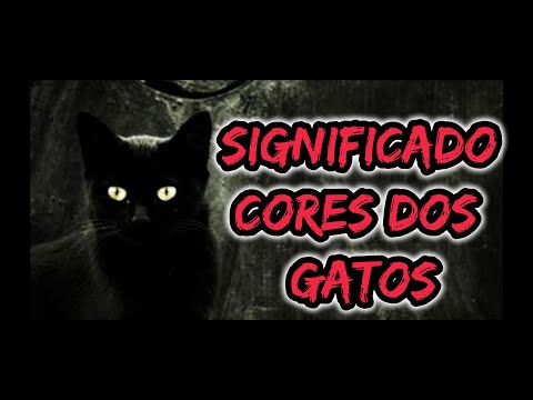 Vídeo: Cores De Gatos Que Trazem Felicidade E Boa Sorte