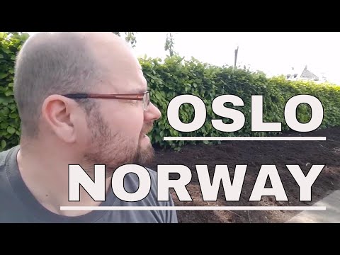 Video: Vieraile vartijoiden vaihdossa Oslon palatsissa Norjassa
