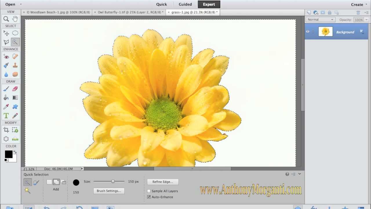 Photoshop elements 11 tutorials