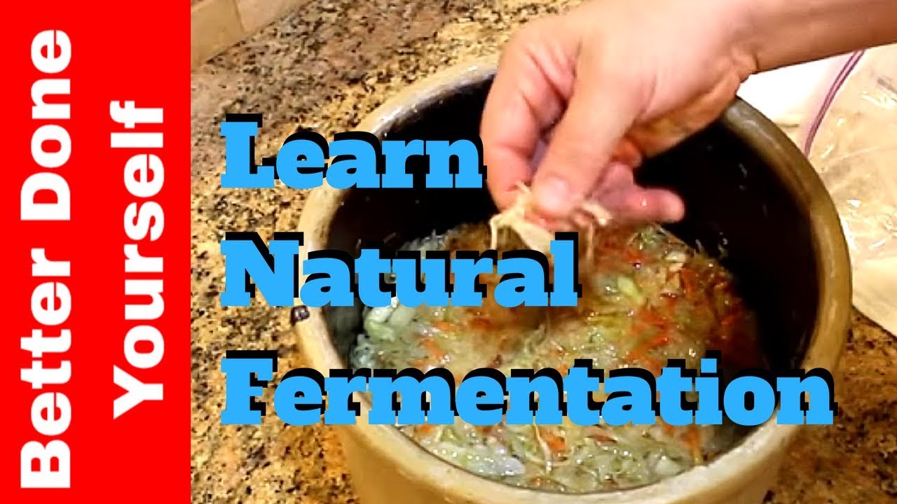 How to Make Probiotic Fermented Sauerkraut YouTube