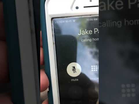 Vídeo: Qual é o número de telefone real de Jake Paul?
