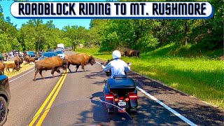 Visit to Crazy Horse, Mt Rushmore, Ride the Iron Mountain Road, Sturgis Rally 2020