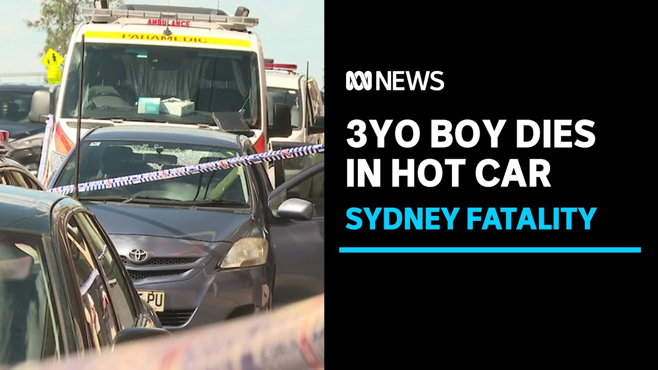 Three-year-old dies after reportedly being left in hot car in Sydney's ...