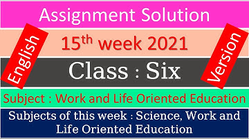 English Version Class 6 Work and Life Oriented Education 15th week 2021 assignment solution