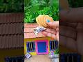 Panipuri 😱 + Chocolate 🍫 Combo | I Love Solii Song Food Shorts 🤯 #shorts