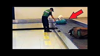 À l'aéroport, un chien s'est mis à aboyer, car il sentait quelque chose dans la valise ! by Merveilles Du Monde 6,386 views 1 year ago 3 minutes, 17 seconds