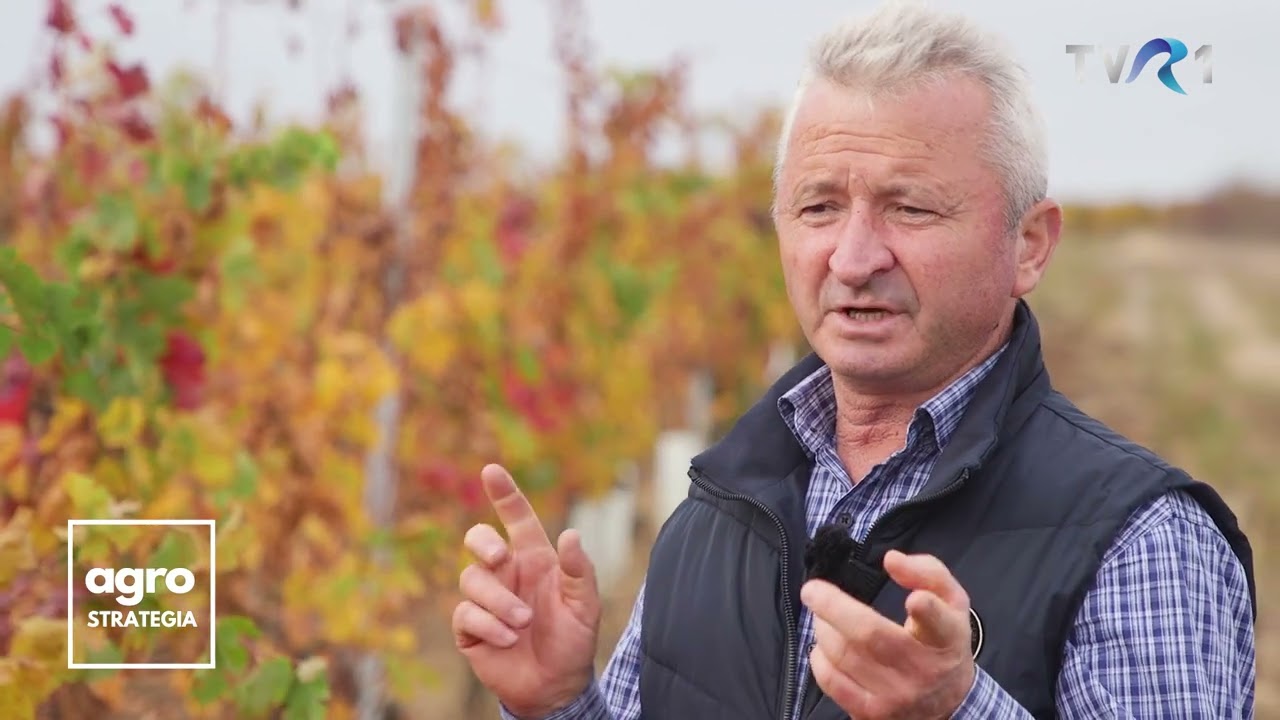 Liviu Gâț, viticultorul care și-a văzut visul împlinit: propria cramă!