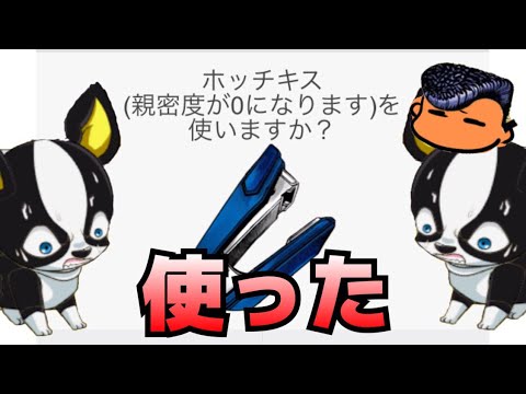 イギー人間に飼われる いろんなアイテム使って見た結果 ジョジョ公式アプリ Youtube