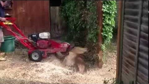 Camon c500 stump grinder