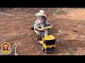 YoYo farmer harvests carrots to eat