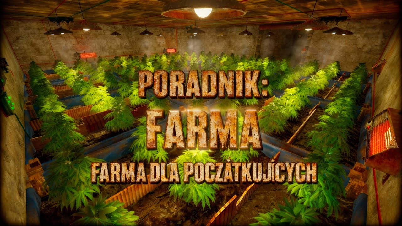 FARMA DLA POCZĄTKUJĄCYCH 2025 || RUST PL || RUST PORADNIK - YouTube