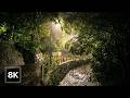 Tokyo's Hidden Rainforest at Night 🌧️ / 8K 60fps HDR / Rain & Nature Sounds