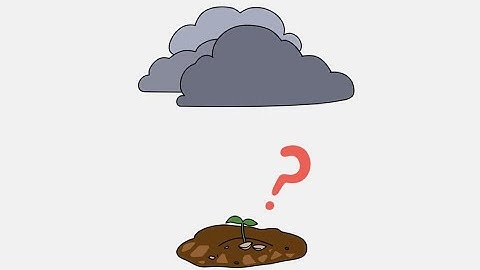 Brain Out 2 Level 3 How to make crops grow? Walkthrough Solution